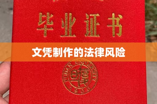 将乐文凭制作的法律风险